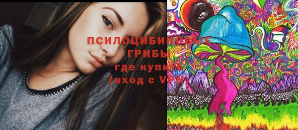 экстази Богородск