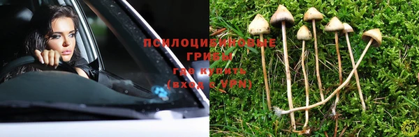 бошки Богданович