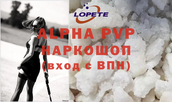бошки Богданович