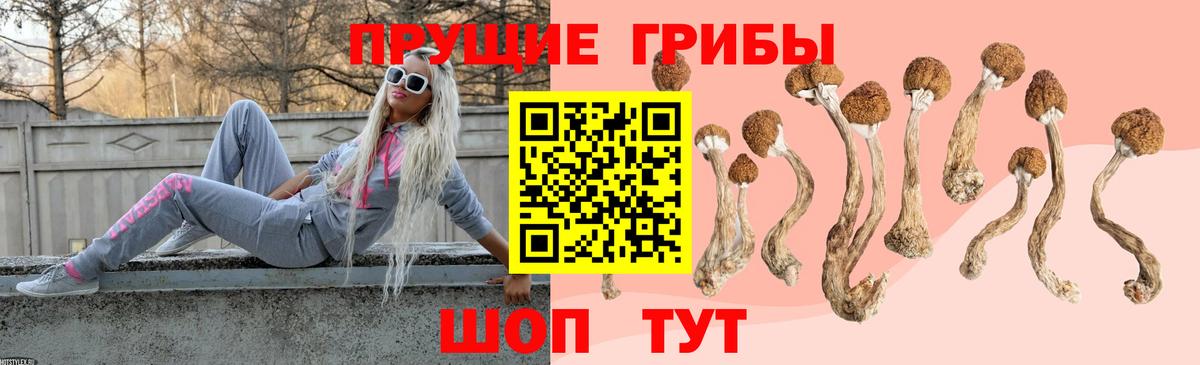 где продают наркотики  Галлюциногенные грибы Psilocybine cubensis  Вход с VPN  Гулькевичи 