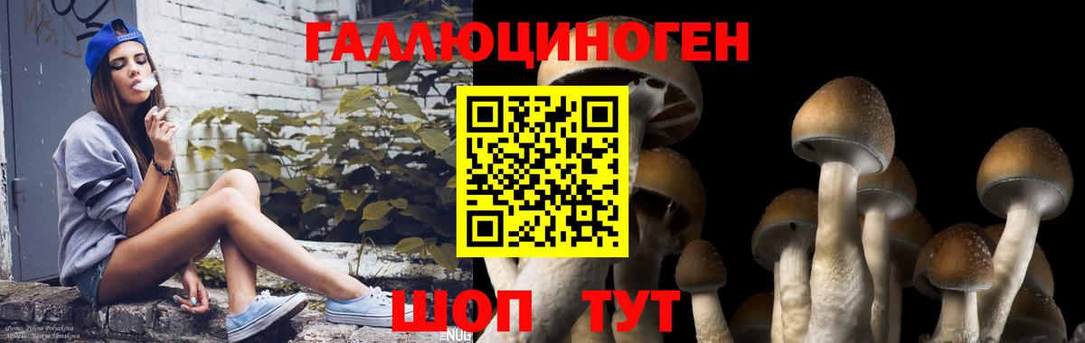 Галлюциногенные грибы прущие грибы Гулькевичи